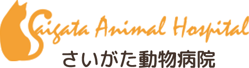 さいがた動物病院